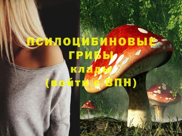 кокс Горно-Алтайск