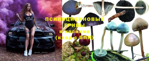 МДМА Горнозаводск