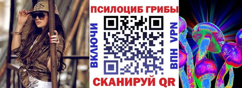 Галлюциногенные грибы Psilocybine cubensis  hydra   Меленки  купить наркотики сайты 