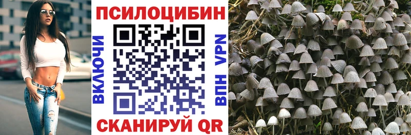 Псилоцибиновые грибы мухоморы Меленки